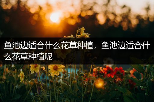 鱼池边适合什么花草种植，鱼池边适合什么花草种植呢