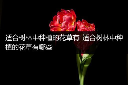 适合树林中种植的花草有-适合树林中种植的花草有哪些