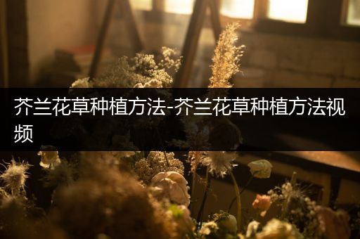 芥兰花草种植方法-芥兰花草种植方法视频