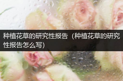 种植花草的研究性报告（种植花草的研究性报告怎么写）