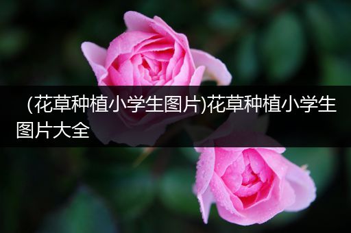 （花草种植小学生图片)花草种植小学生图片大全