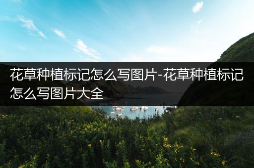 花草种植标记怎么写图片-花草种植标记怎么写图片大全