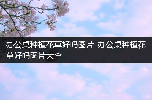 办公桌种植花草好吗图片_办公桌种植花草好吗图片大全