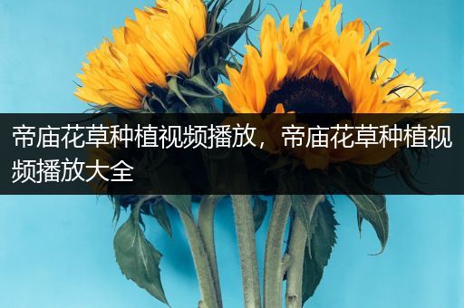 帝庙花草种植视频播放，帝庙花草种植视频播放大全
