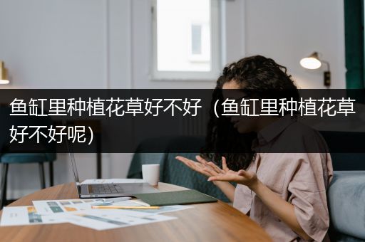 鱼缸里种植花草好不好（鱼缸里种植花草好不好呢）