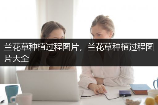 兰花草种植过程图片，兰花草种植过程图片大全
