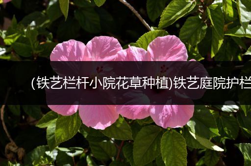 （铁艺栏杆小院花草种植)铁艺庭院护栏