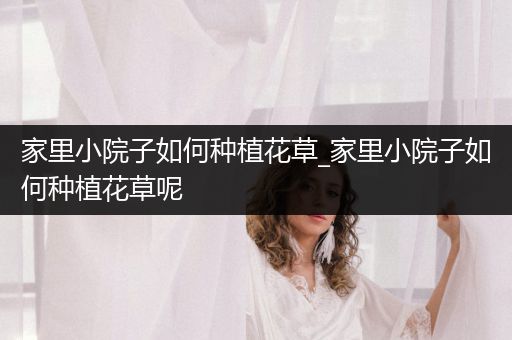 家里小院子如何种植花草_家里小院子如何种植花草呢