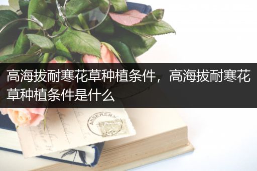 高海拔耐寒花草种植条件，高海拔耐寒花草种植条件是什么