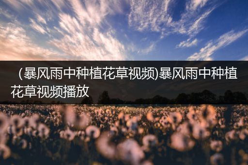 （暴风雨中种植花草视频)暴风雨中种植花草视频播放