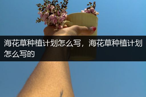 海花草种植计划怎么写，海花草种植计划怎么写的