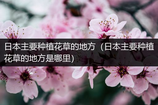 日本主要种植花草的地方（日本主要种植花草的地方是哪里）