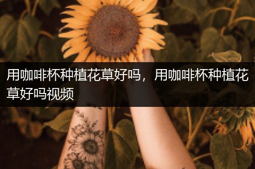 用咖啡杯种植花草好吗，用咖啡杯种植花草好吗视频