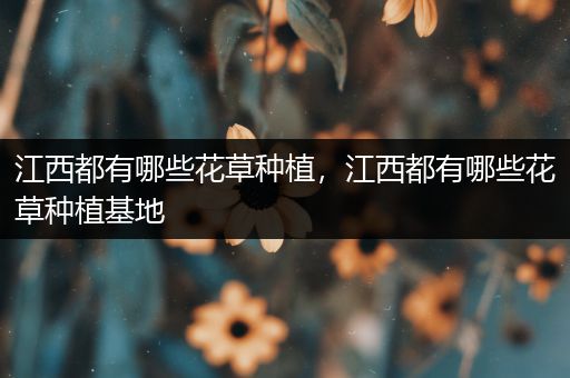 江西都有哪些花草种植，江西都有哪些花草种植基地