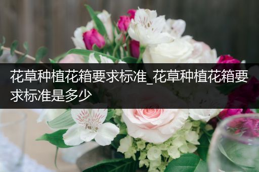 花草种植花箱要求标准_花草种植花箱要求标准是多少