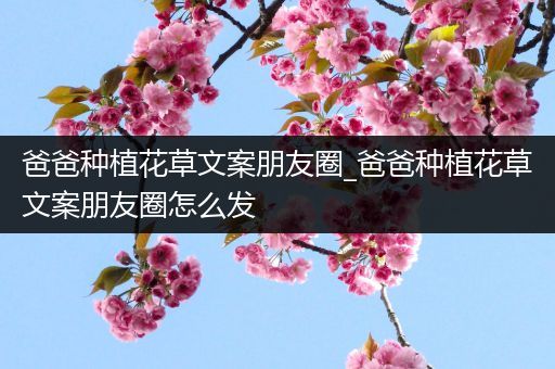 爸爸种植花草文案朋友圈_爸爸种植花草文案朋友圈怎么发