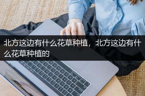 北方这边有什么花草种植，北方这边有什么花草种植的
