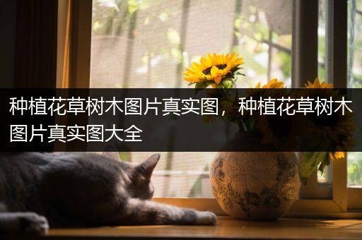 种植花草树木图片真实图，种植花草树木图片真实图大全