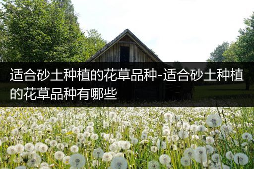 适合砂土种植的花草品种-适合砂土种植的花草品种有哪些