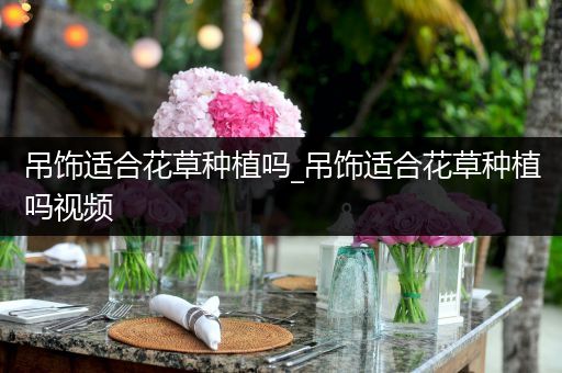 吊饰适合花草种植吗_吊饰适合花草种植吗视频