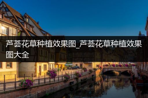 芦荟花草种植效果图_芦荟花草种植效果图大全