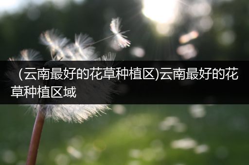 （云南最好的花草种植区)云南最好的花草种植区域