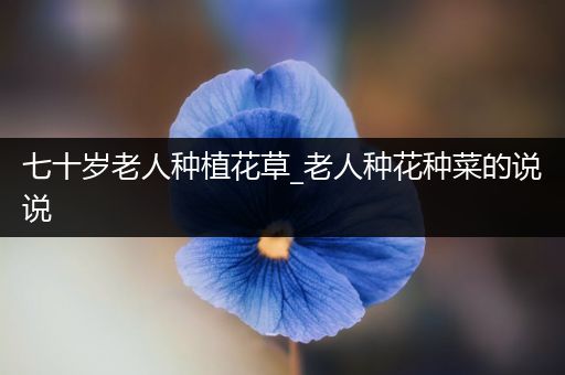 七十岁老人种植花草_老人种花种菜的说说