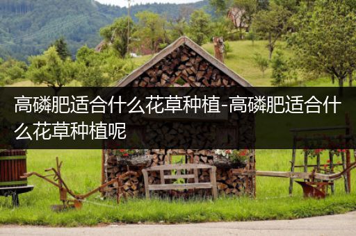 高磷肥适合什么花草种植-高磷肥适合什么花草种植呢