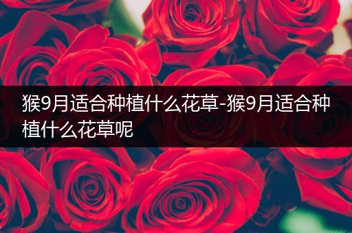 猴9月适合种植什么花草-猴9月适合种植什么花草呢