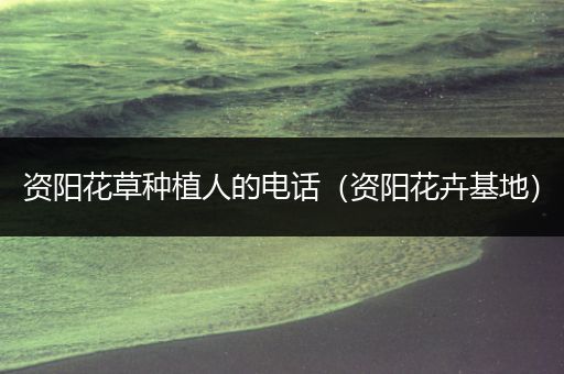 资阳花草种植人的电话（资阳花卉基地）