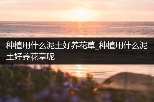 种植用什么泥土好养花草_种植用什么泥土好养花草呢