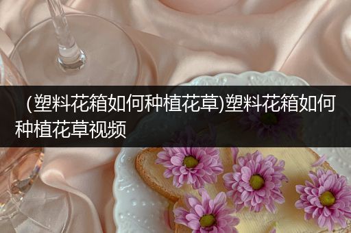（塑料花箱如何种植花草)塑料花箱如何种植花草视频