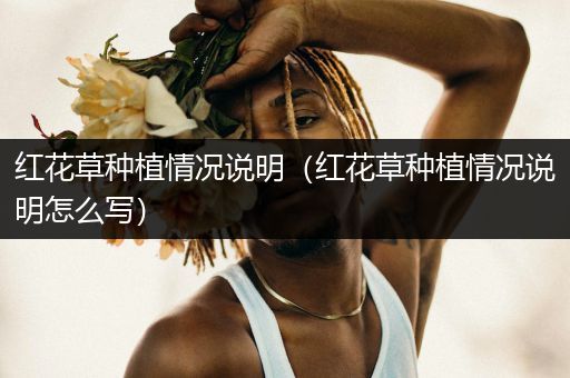 红花草种植情况说明（红花草种植情况说明怎么写）