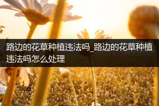 路边的花草种植违法吗_路边的花草种植违法吗怎么处理