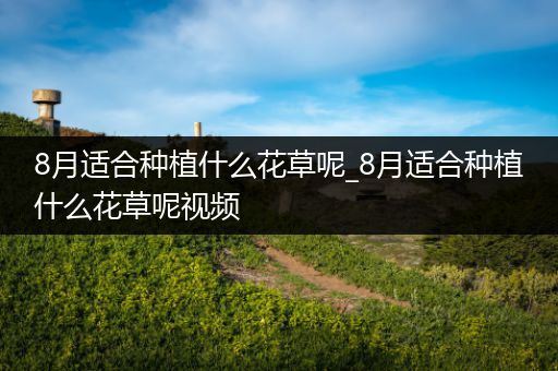 8月适合种植什么花草呢_8月适合种植什么花草呢视频
