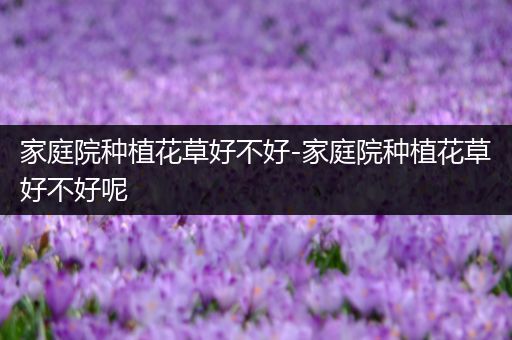 家庭院种植花草好不好-家庭院种植花草好不好呢