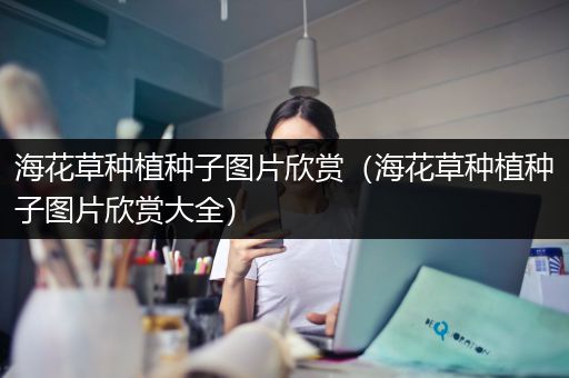 海花草种植种子图片欣赏（海花草种植种子图片欣赏大全）