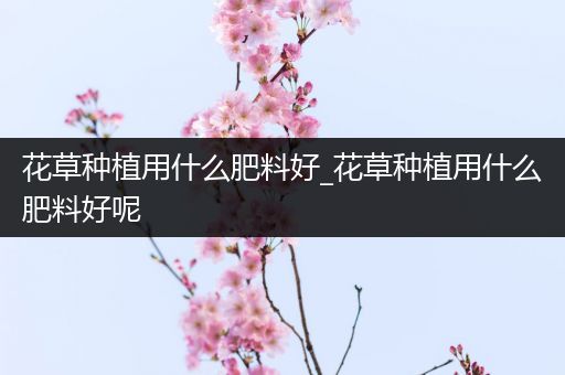 花草种植用什么肥料好_花草种植用什么肥料好呢