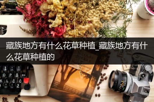 藏族地方有什么花草种植_藏族地方有什么花草种植的