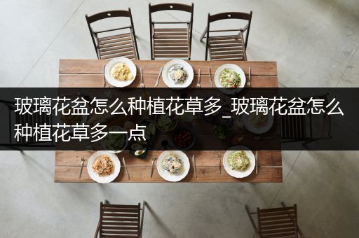 玻璃花盆怎么种植花草多_玻璃花盆怎么种植花草多一点