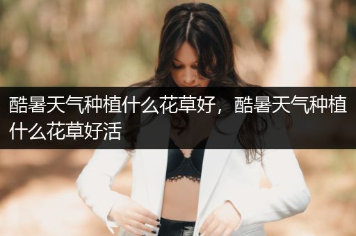 酷暑天气种植什么花草好，酷暑天气种植什么花草好活