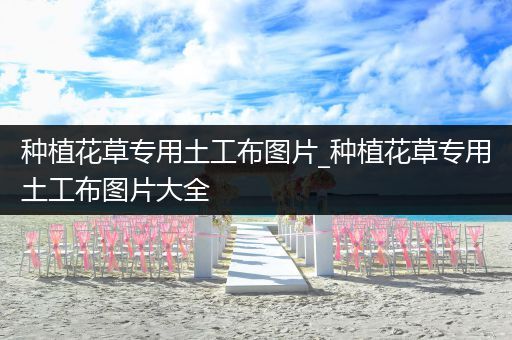 种植花草专用土工布图片_种植花草专用土工布图片大全