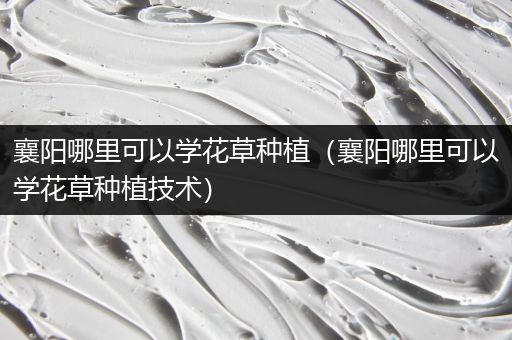 襄阳哪里可以学花草种植（襄阳哪里可以学花草种植技术）