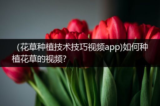 （花草种植技术技巧视频app)如何种植花草的视频?