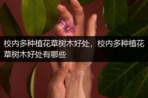校内多种植花草树木好处，校内多种植花草树木好处有哪些