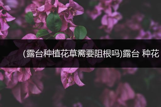 （露台种植花草需要阻根吗)露台 种花