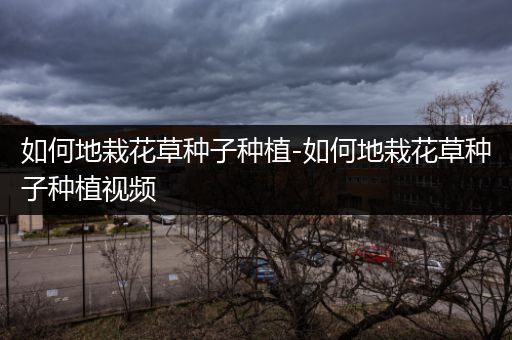 如何地栽花草种子种植-如何地栽花草种子种植视频
