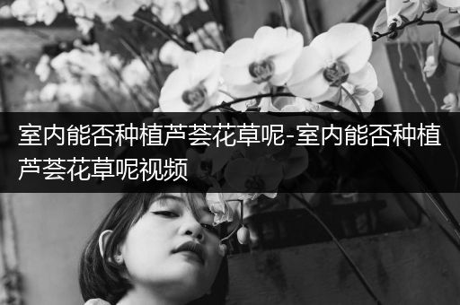 室内能否种植芦荟花草呢-室内能否种植芦荟花草呢视频