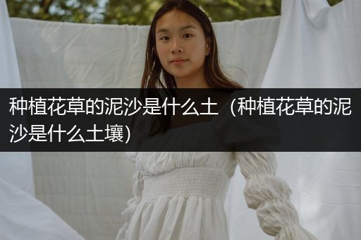 种植花草的泥沙是什么土（种植花草的泥沙是什么土壤）