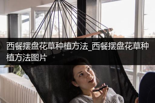 西餐摆盘花草种植方法_西餐摆盘花草种植方法图片